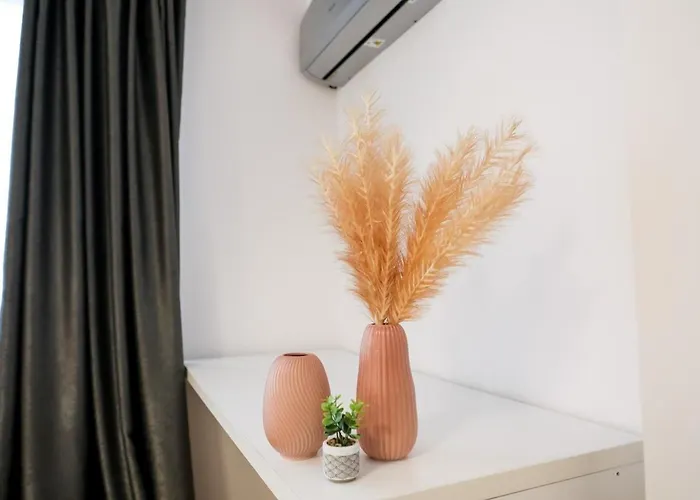 Campus Oasis アパート コンスタンツァ